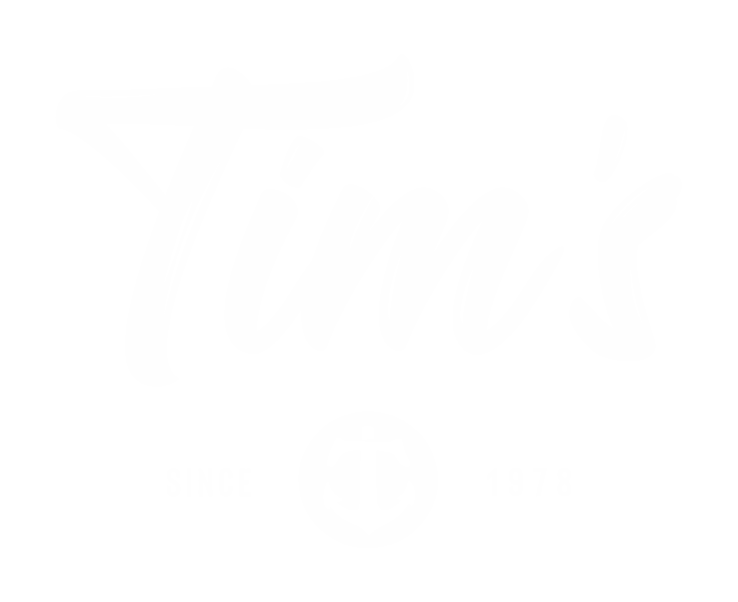 Tim's